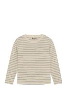 Daily 7 T-Shirt Ls Small Stripe Beige