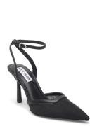 Steve Madden Alliance-M Heel Svart