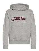 Lexington Clothing Lucas Logo Organic Cotton Hood Grå