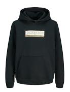 Jack & J S Jorinwood Block Branding Sweat Noos Jnr Svart