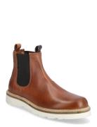 Marstrand Vincent Marstrand Brun