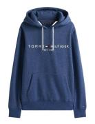 Tommy Hilfiger Tommy Logo Hoody Blå