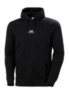 Helly Hansen Yu Hoodie 2.0 Svart