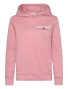 GANT Reg Graphic Hoodie Rosa