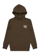 Billabong Foundation Po Brun