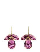 Caroline Svedbom Petite Timo Earrings Gold Rosa