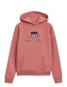 GANT Archive Shield Hoodie Multi/patterned