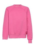 THE ANIMALS OBSERVATORY Brifht Pink Shark Sweatshirt Rosa