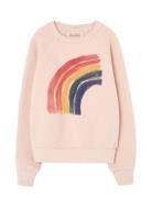 THE ANIMALS OBSERVATORY Rainbow Shark Sweatshirt Rosa