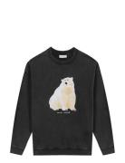 Maison Labiche Ledru Polar Bear Svart
