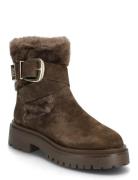 Steve Madden Lodge Brun